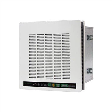 Anion HEPA Esp Air Purifier
