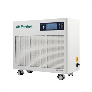 Portable UVC Air Purifier