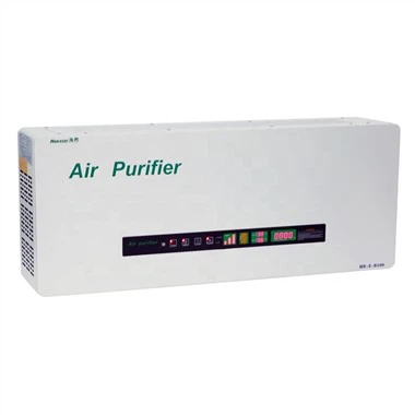 Wall Mounted Plasma Air Purifier
