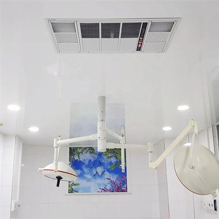 HB-D-X150 Ceiling Air Purifier