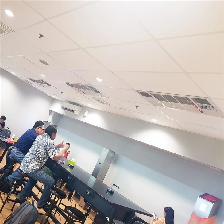 HB-D-X150 Ceiling Air Purifier